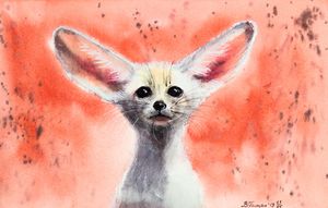 Portrait of the African fennec fox.
