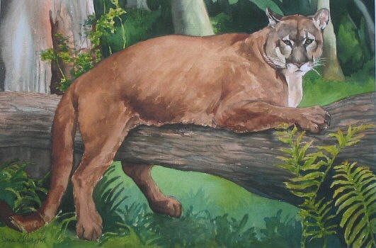 Mountain Lion Painting, Mountain Lion Art, Watercolor on Paper, Original Painting, deals Abstract Art, Colorful, Small, 5 x 7, Endangered Animal