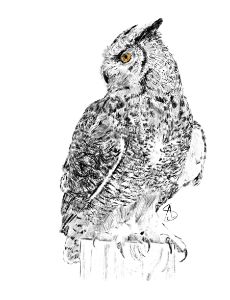 sexy owl clip art