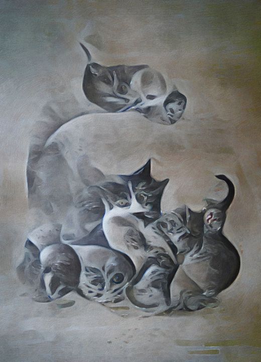 Cats & Kittens - Distorted View Imagery