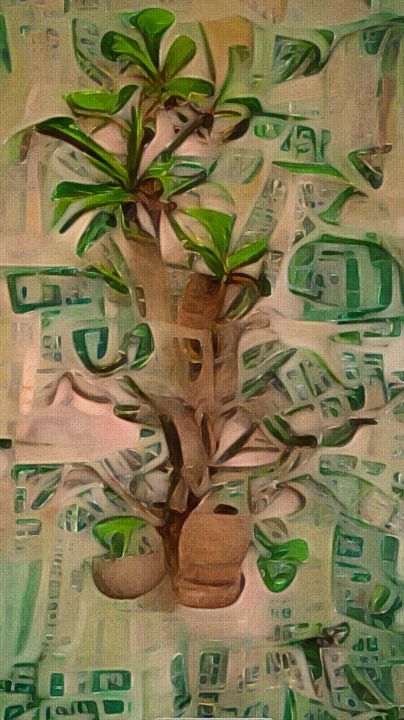 The Money Tree - Distorted View Imagery
