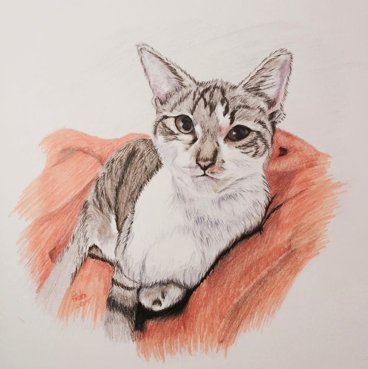 My cat - Feda’s Art