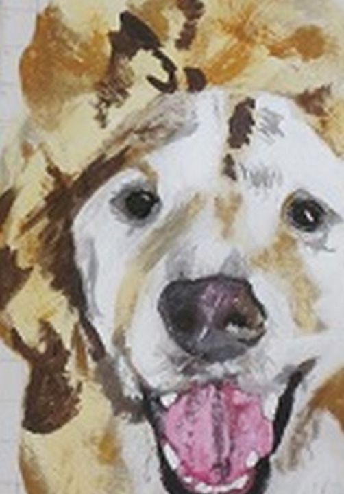 Labradoodle - chris cooper's art