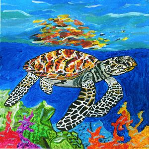Hawksbill sea turtle Crit Endangered