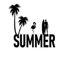 Summer Surfing and Flamingo