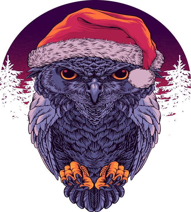 Santa Owl, Christmas owl - zak bakir