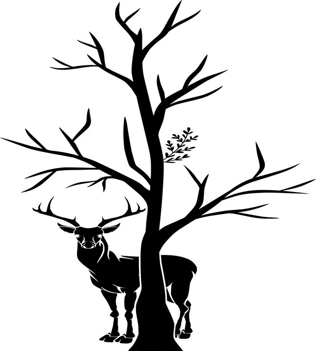 Deer with Dry Tree Silhouette - zak bakir