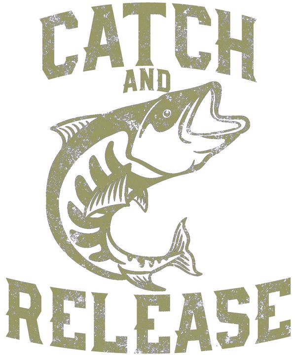 Catch and Release - zak bakir