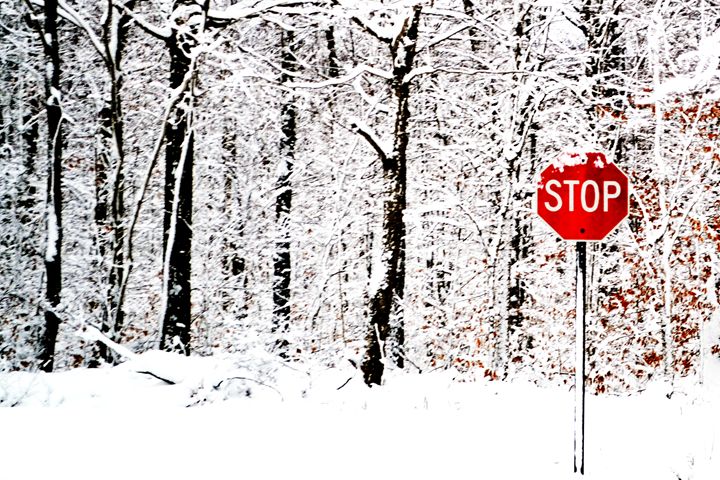 Winter Stop - S. LeBlanc Creations