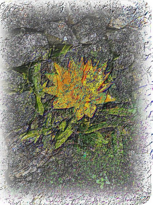wall flower - RosArt