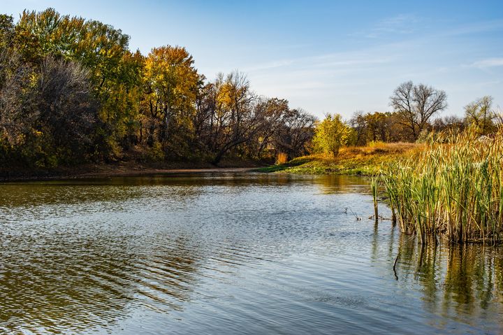 lake - Roman Vasilev