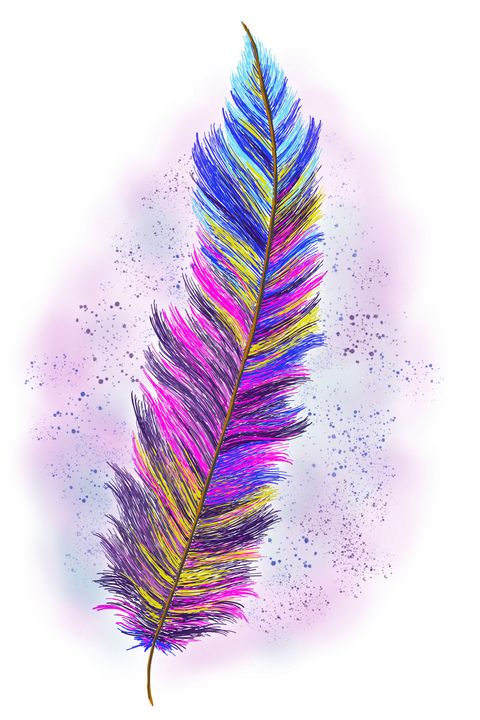 3dRose db_37447_1 Large Colorful Peacock Feather-Drawing Book, 8 by 8-Inch  : Amazon.in: Home & Kitchen