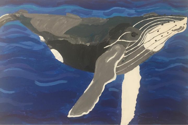 Humpback whale - Patricio Polanski