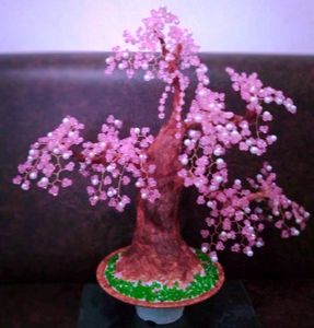 real cherry blossom bonsai