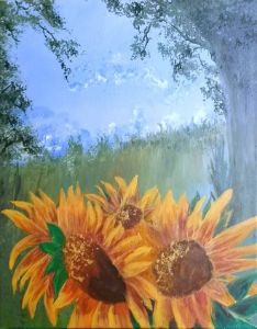sunflowers in summer