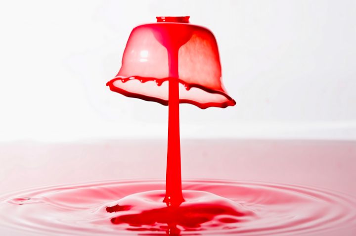 Gossamer Protection Liquid Art Album - Screaming Pixels - Photography ...