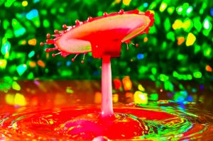 Screaming Pixels - Photography