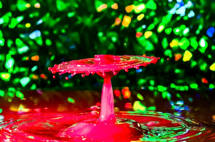 Magic Mushroom - Liquid Art Album - Screaming Pixels - Photography ...