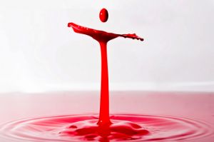 Screaming Pixels - Photography