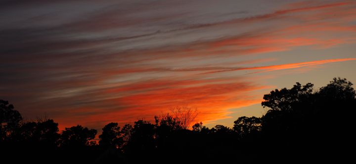 John McAfee - Photography