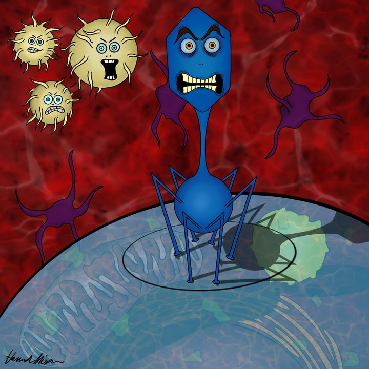 Biology Art Attack