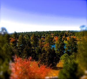 Nobility Ranch, Season M. Ellison - Photography