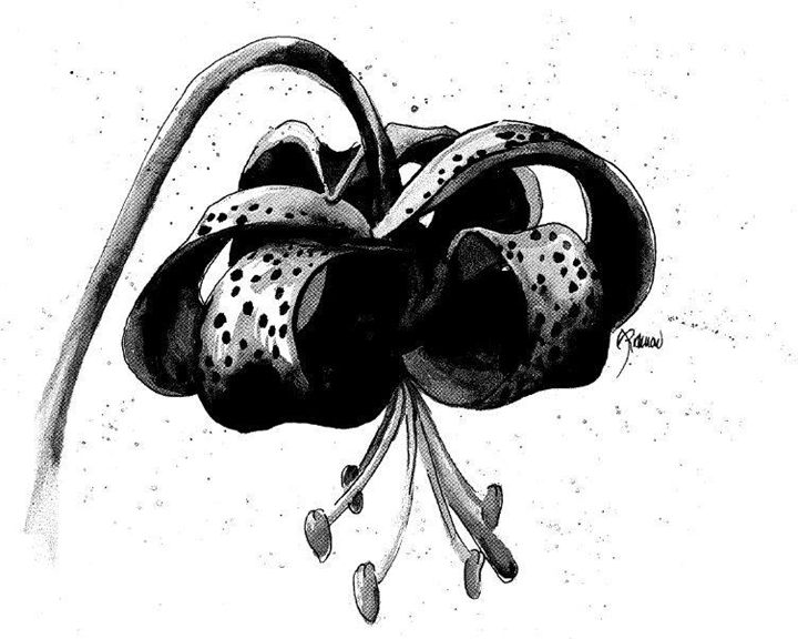 Wilting Lily Traveling Art Concepts Paintings & Prints, Flowers