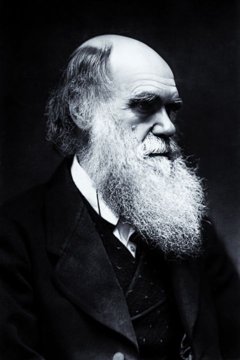 Ϲharles Darwin - Gallery 27 - Photography, People & Figures, Past ...