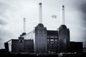 Battersea Power Station - Animals
