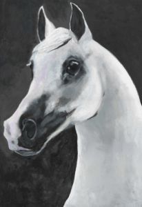 White horse / Cavall blanc