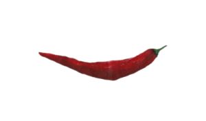 Red pepper / Bitxo
