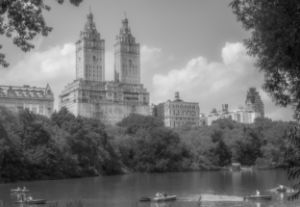 Rowboats on the Lake - Central Park