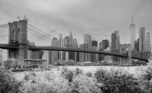 Brooklyn Bridge - NYC Skyline - I