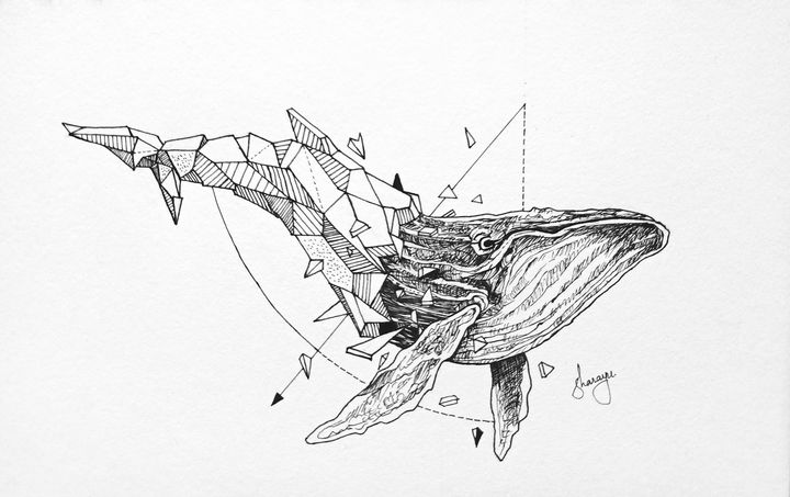 whale geometric drawing