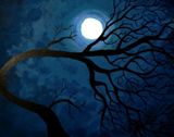 Original painting of Midnight moon e