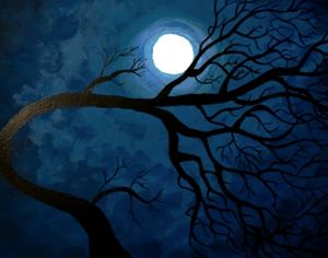 Midnight moon enchantment.