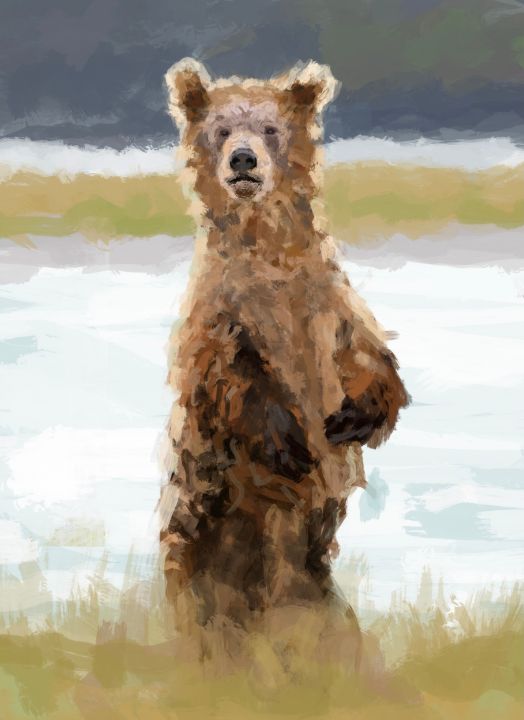 Koala bear - Paul Vandish Jr. - Paintings & Prints, Animals, Birds