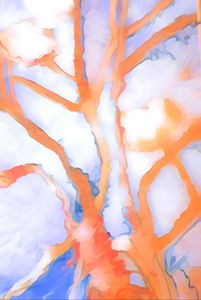 Cloudy Carrot