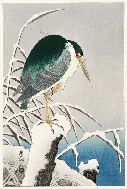 Heron in snow -  Jezzasway