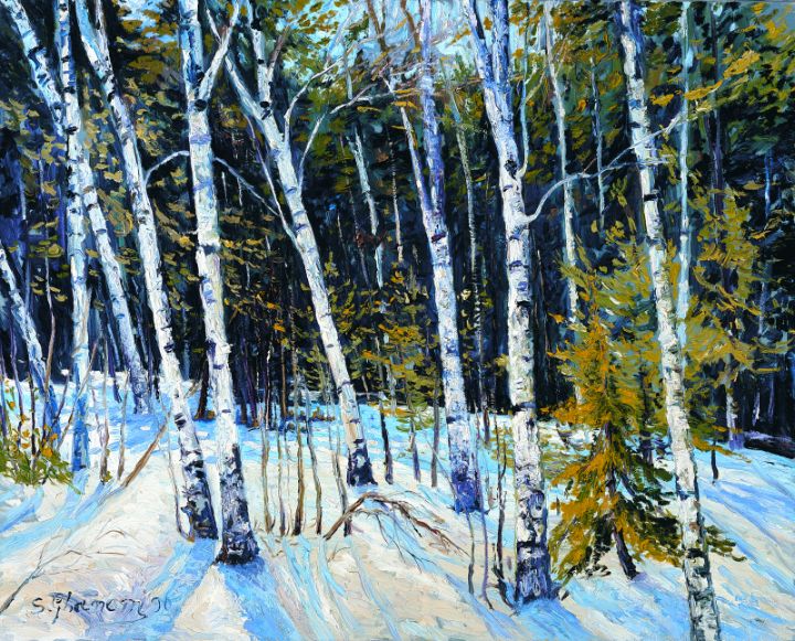 Birch of Snow - Perspective Art