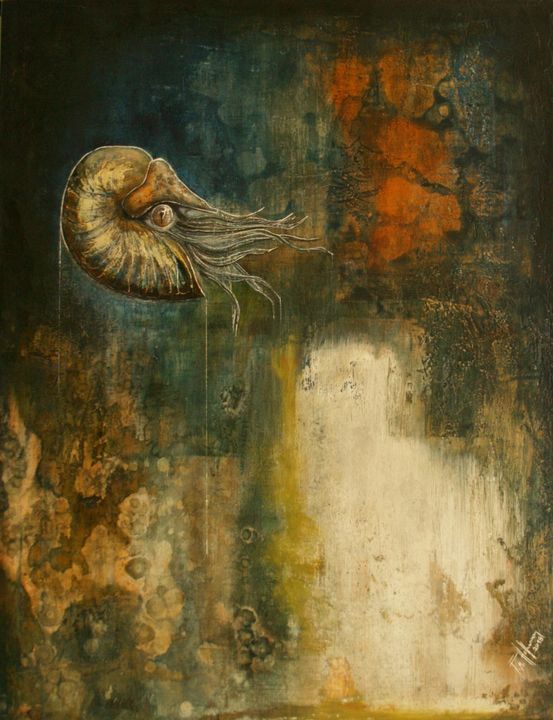 Nautilus - Atelier Hoffmann - Paintings & Prints, Animals, Birds