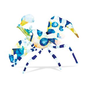 Geometric Abstract Harlequin Shrimp