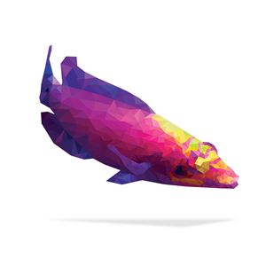 Geometric Abstract Mystery Wrasse