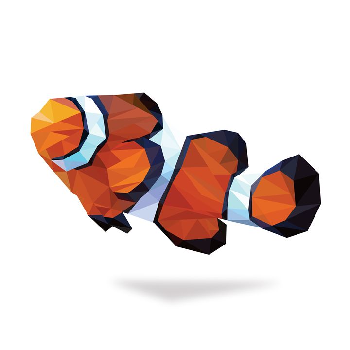 Geometric Abstract Clown Fish - Aquanaut Studio - Drawings ...