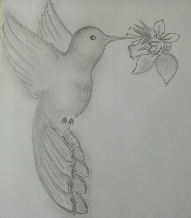 Flying Bird Sketch Drawing by Denise F Fulmer  Pixels