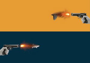 Fishbird gun