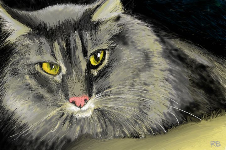 Stetson - Roland Berthold - Drawings & Illustration, Animals, Birds, &  Fish, Cats & Kittens, Purebred Cats, Maine Coon Cat - ArtPal