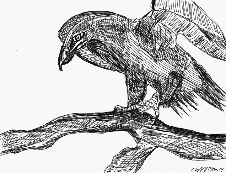 Hawk On A Branch - Allen Yoakum Art