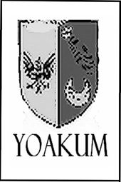 Allen Yoakum Art
