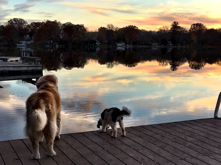 Sunset dogs - PhotosbyNan